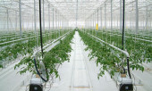 Агротекстиль Agrojutex белый 130г/м2 - 1.65x100м Агротекстиль Agrojutex белый 130г/м2 - 1.65x100м